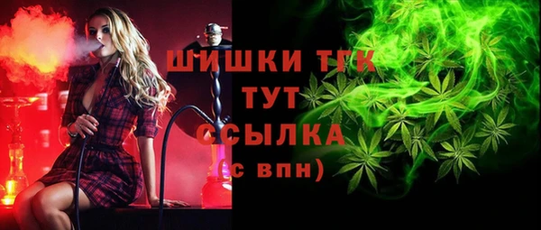 ешки Алзамай
