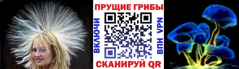Галлюциногенные грибы Cubensis  Пыталово 